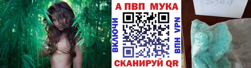 Как найти закладки Камызяк Марихуана  МЕФ  APVP  ГАШ 