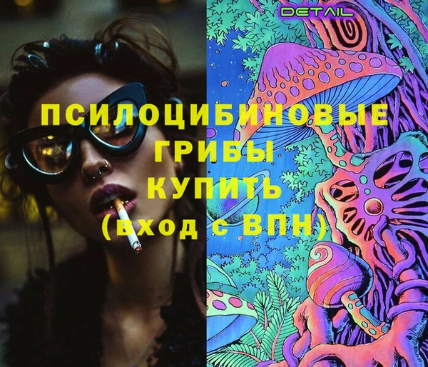 гашик Алексин