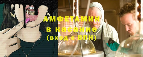гашик Алексин