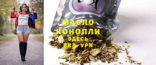 гашик Алексин