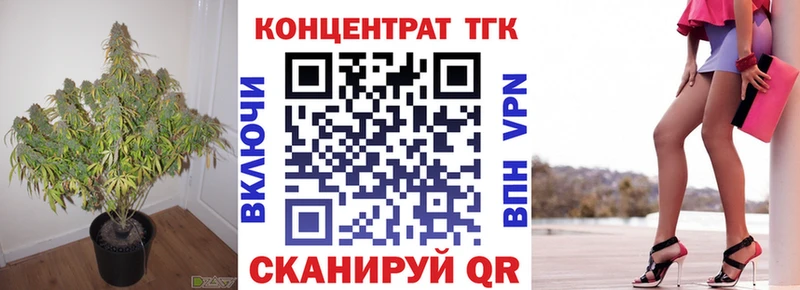 закладка  Камызяк  ТГК концентрат 